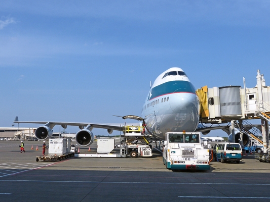 셰인젠 화물 운송사 국제 화물 서비스 / UPS FEDEX 항공 급속 화물 서비스
